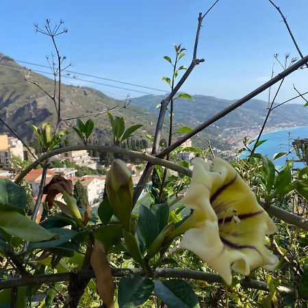 Tauromenium House Daire Taormina Dış mekan fotoğraf