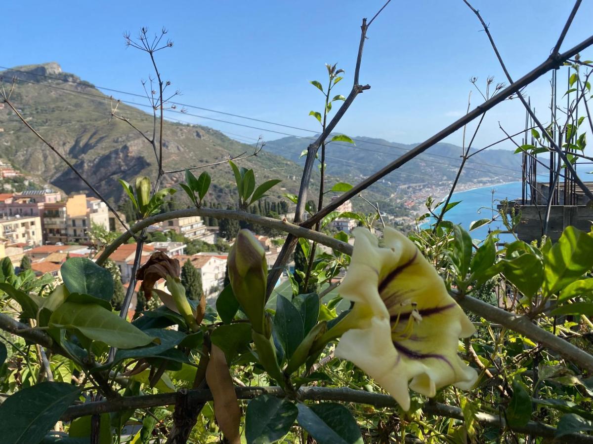 Tauromenium House Daire Taormina Dış mekan fotoğraf